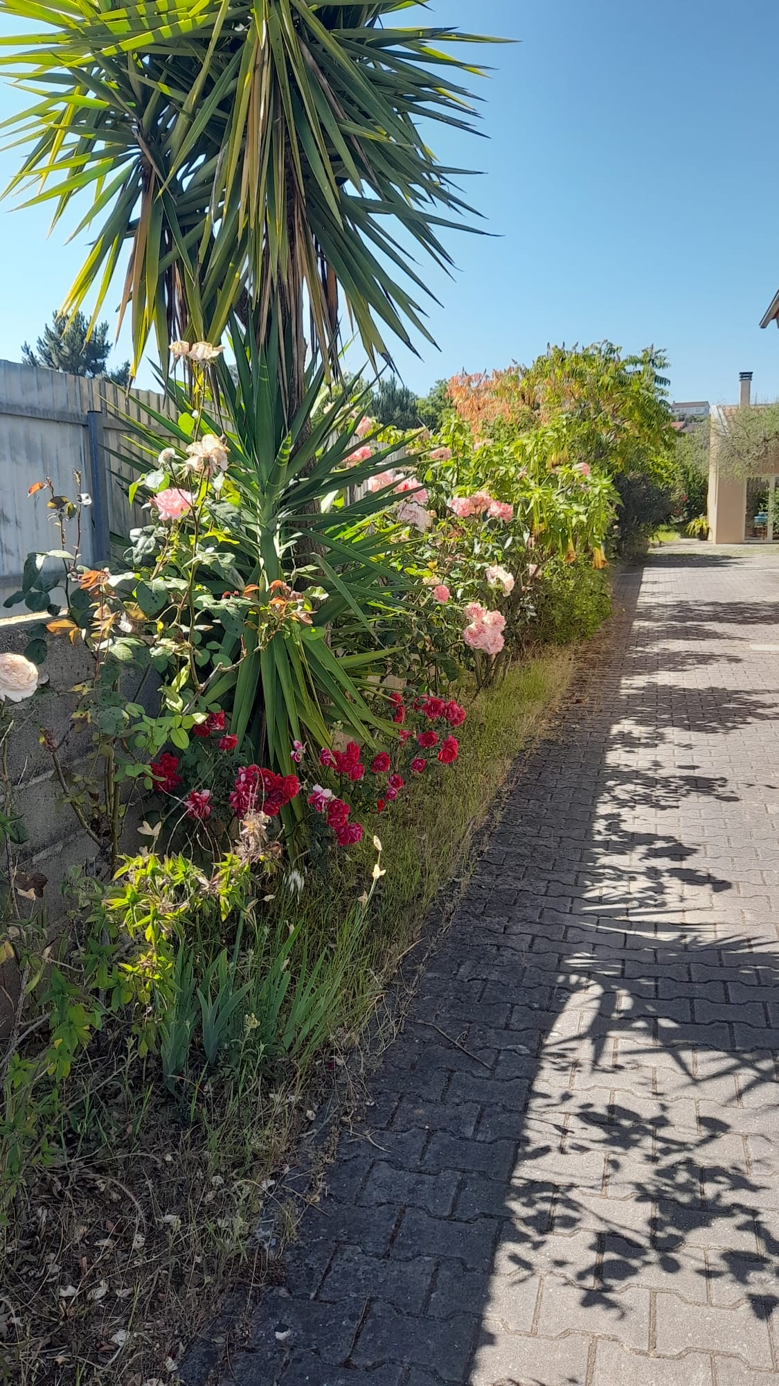 Fachada da moradia